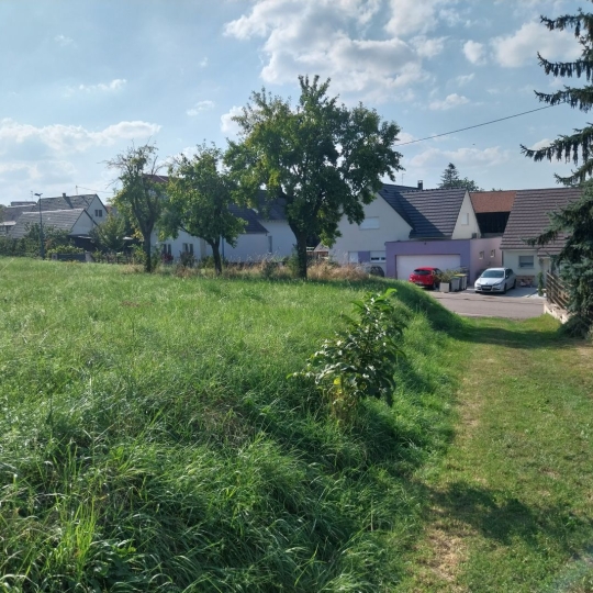  Alsace & Azur Immobilier : Terrain | RANGEN (67310) | 0 m2 | 91 260 € 