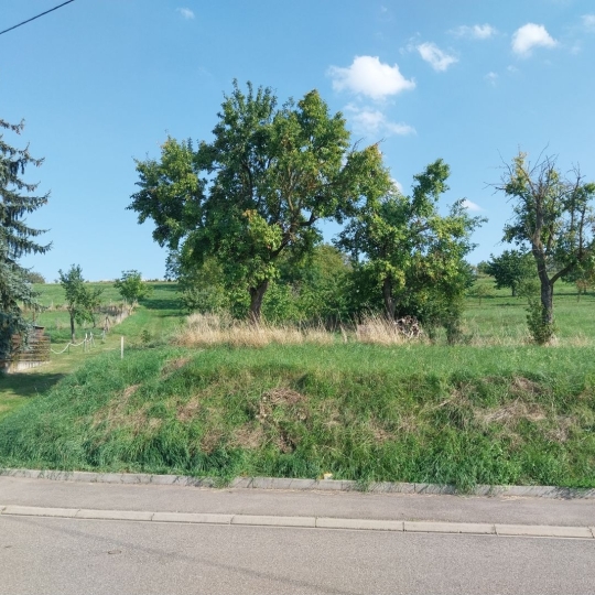  Alsace & Azur Immobilier : Terrain | RANGEN (67310) | 0 m2 | 91 260 € 