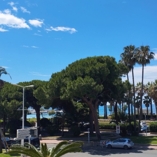 Alsace & Azur Immobilier : Appartement | CANNES (06400) | 73.00m2 | 2 120 000 € 