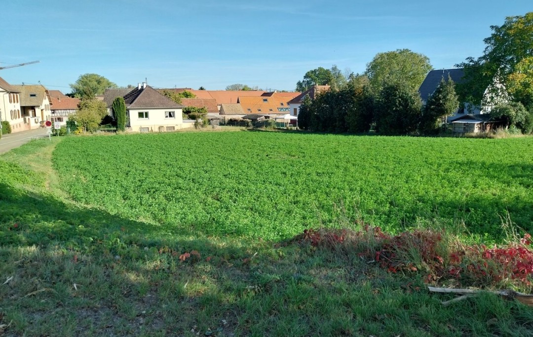 Alsace & Azur Immobilier : Ground | HANDSCHUHEIM (67117) | 0 m2 | 286 520 € 