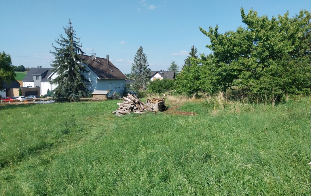 Alsace & Azur Immobilier : Terrain | RANGEN (67310) | 0 m2 | 91 260 € 