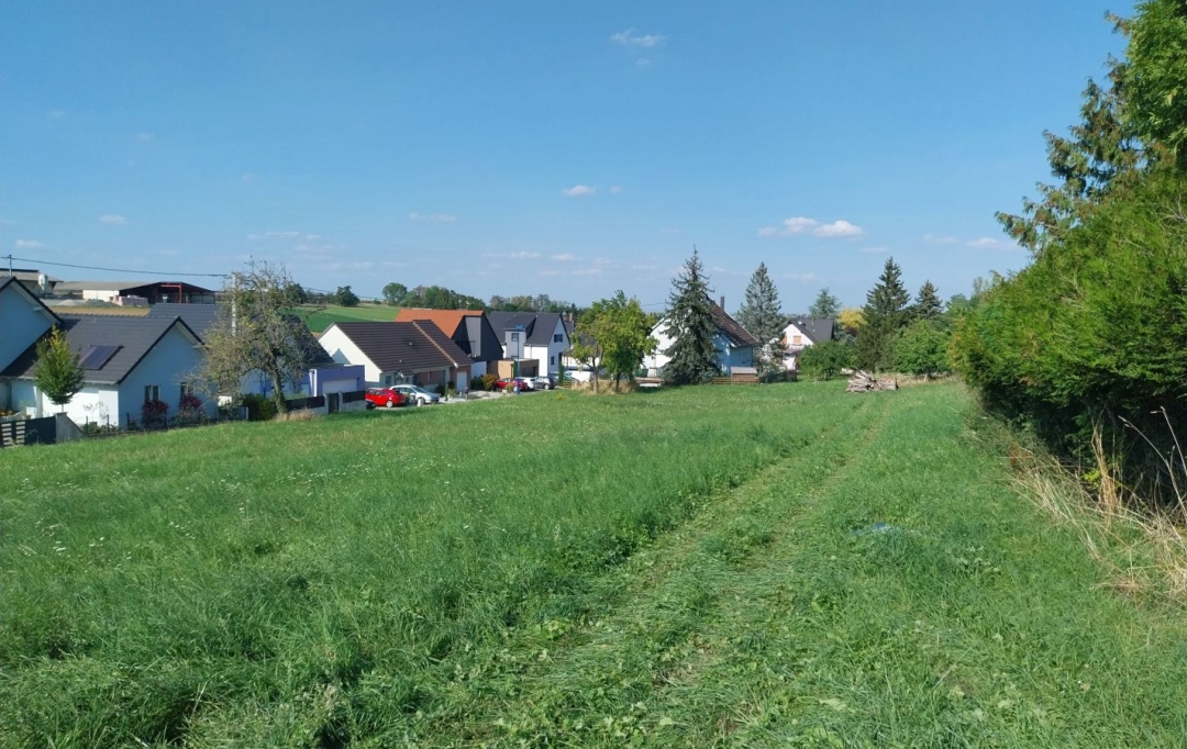 Alsace & Azur Immobilier : Terrain | RANGEN (67310) | 0 m2 | 91 260 € 