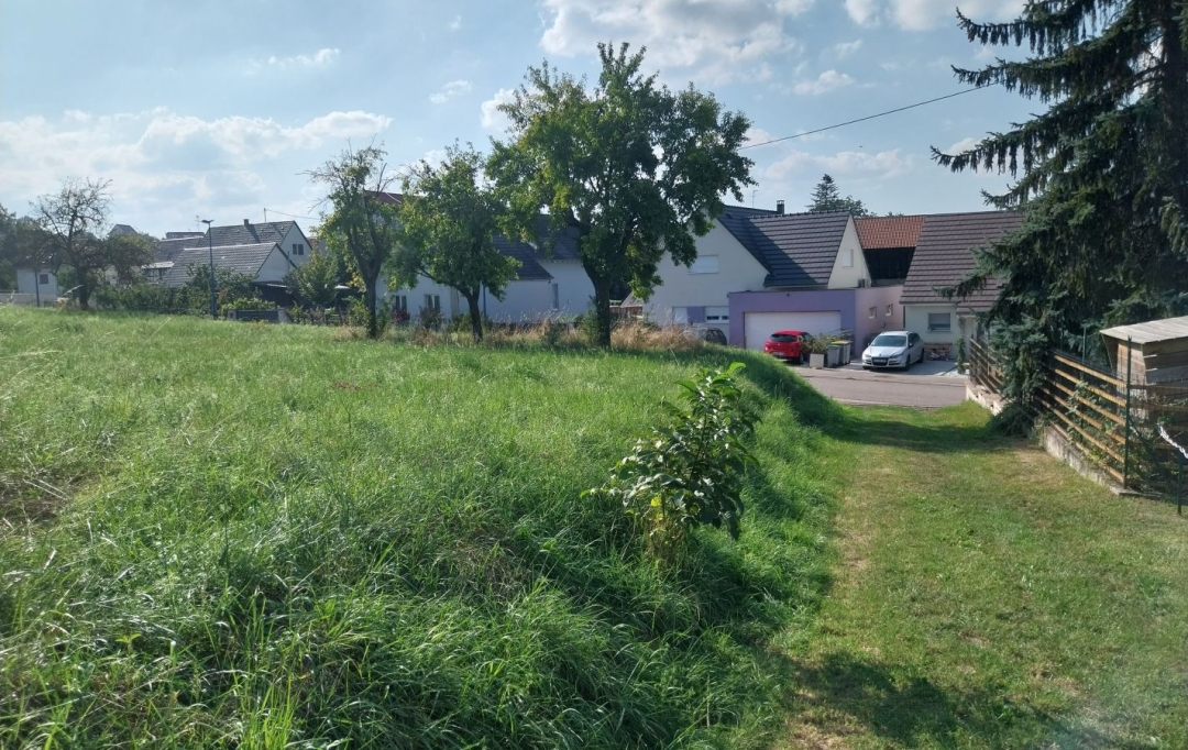 Alsace & Azur Immobilier : Terrain | RANGEN (67310) | 0 m2 | 91 260 € 