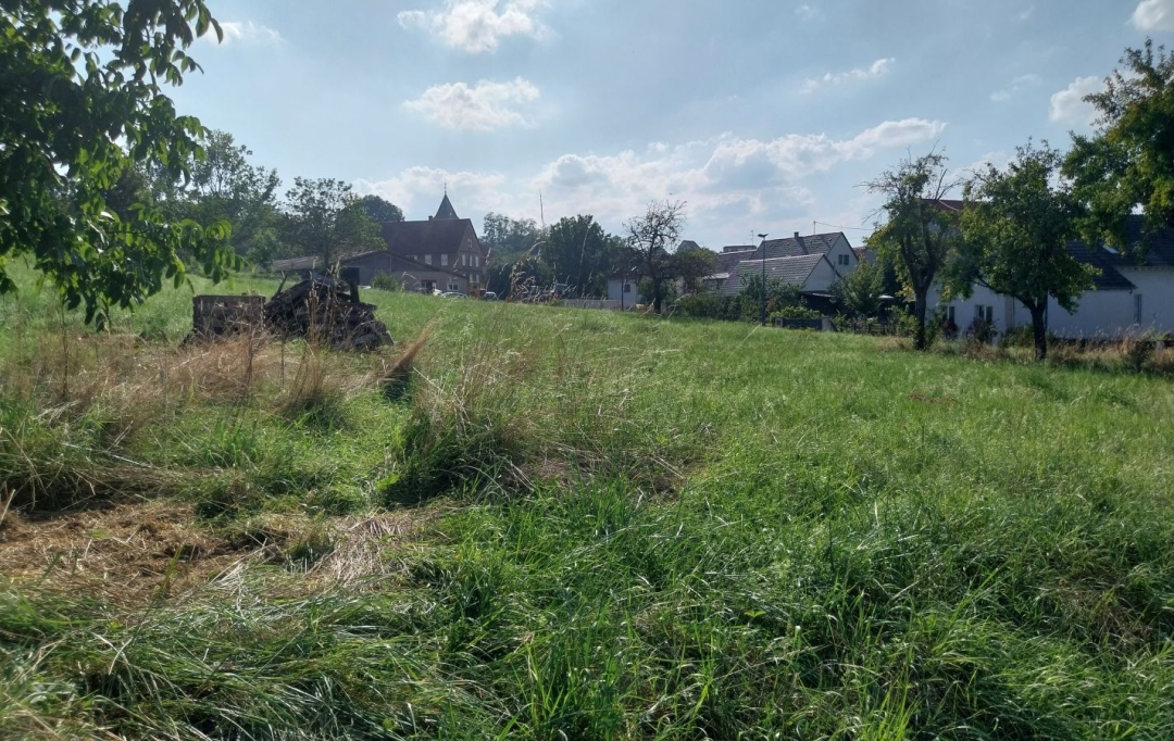 Alsace & Azur Immobilier : Terrain | RANGEN (67310) | 0 m2 | 91 260 € 