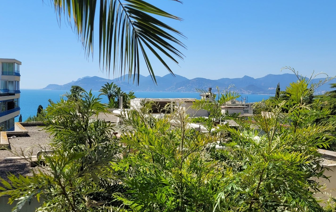 Alsace & Azur Immobilier : Appartement | CANNES (06400) | 106 m2 | 640 000 € 