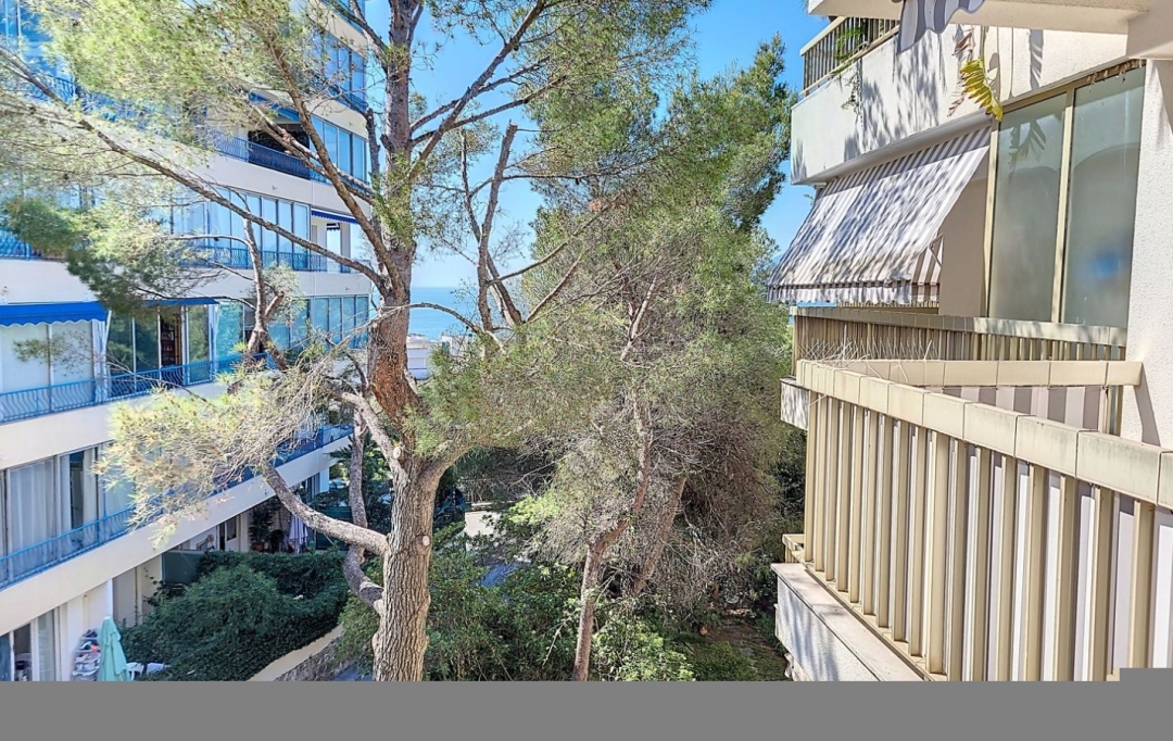 Alsace & Azur Immobilier : Appartement | CANNES (06400) | 106 m2 | 640 000 € 